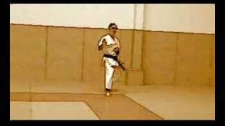 Kata bunkai  Heian nidan [upl. by Moll549]