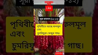 কুরআন অর্থ আর রাহমান ১১১২ islamicvideo islamicshorts shorts shortvideo arrahman quran [upl. by Esteban]