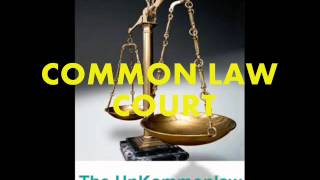 003  Karl Lentz  Establish your common law court [upl. by Sinnoda29]