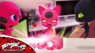 Miraculous Ladybug Season 7 Tikki and Plagg Creates a New Miraculous from their Miraculouses ❤️😱 [upl. by Alyaj497]