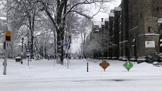 Quadra and Broughton  Victoria BC Winter Snow [upl. by Lita835]