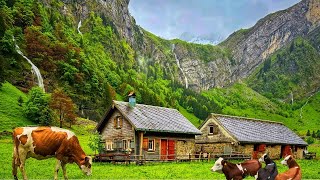 Switzerland Countryside  Relaxing walk in Switzerlands most beautiful villages  rain ambience [upl. by Olgnaed]