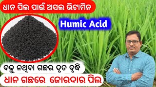 Humic Acid Humic acid Fertilizer ଧାନ ପିଲ ପାଇଁ ଅସଲ vitamin [upl. by Edrea]