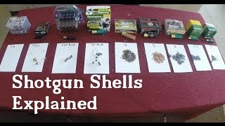 Shotgun Shells Explained [upl. by Donough729]