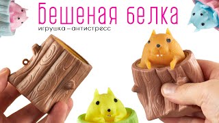 Игрушка антистресс quot Бешеная белкаquot Фуфлик [upl. by Byran]