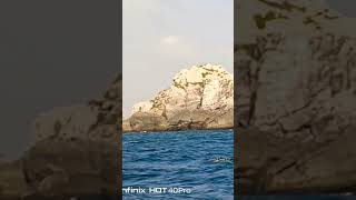 Charna island fishing videos [upl. by Ettenoitna]