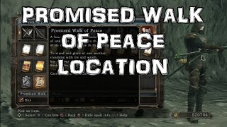 Dark Souls 2 Promised Walk of Peace Location The Sunken King DLC [upl. by Tocci651]