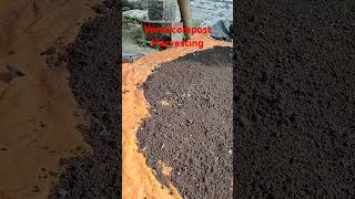 vermicomposting Vermicompost westbengal memari earthworm organicfertilizer [upl. by Ecinuahs673]