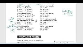 Grammaire en dialogues Leçon 32 Exercices sur la quantité avec Madame Maha [upl. by Alleira]