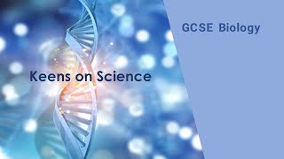 GCSE Biology Chromosomes and Mitosis [upl. by Siberson837]