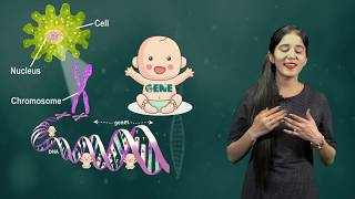 Heredity and Evolution 03 Genetic Terminology CBSE Class X Biology [upl. by Nodnol]