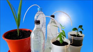 DIY Drip Irrigation System  Easy and Cheap [upl. by Ycrep772]