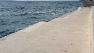 Sea Organ Zadar Croatia [upl. by Aynotal]