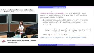 Catherine Sulem Soliton Resolution for Derivative NLS equation [upl. by Kcolttam]