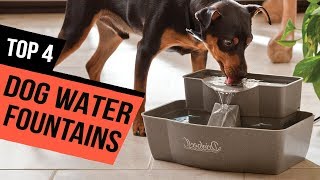 4 Best Dog Water Fountains Reviews 2019 [upl. by Ettennod]