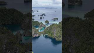 A day exploring Jellyfish Lake  Heart Reef  Remote Indonesia  Sailing Life [upl. by Siro]