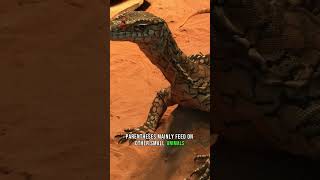 Discover the Giant Perentie  DEADLY CREATURES SERIES  Visual Scientific Content [upl. by Mizuki]