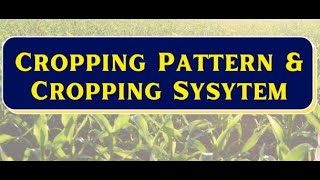 Cropping systems and cropping patterns agricultureengineering agriculture [upl. by Ellirehs]