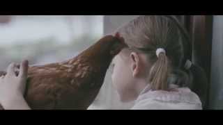 THE CHICKEN Trailer  53rd Semaine de la Critique 2014 [upl. by Selden]