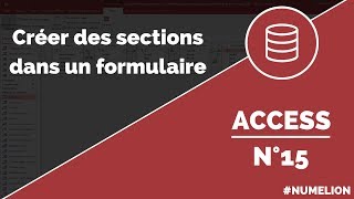 Tutoriel et cours Access n° 15  Créer des sections dans un formulaire [upl. by Piero]