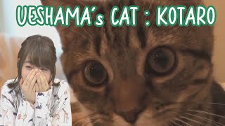 Ueda Reina getting Excited Over Her Cats Video [upl. by Attenal]