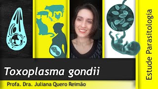 Aula sobre Toxoplasma gondii e Toxoplasmose [upl. by Ennyletak]