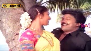 அந்தியில வானம் தந்தனத்தோம் போடும் பாடல்  Andhiyile Vaanam song  Swarnalatha Mano  Chinnavar [upl. by Alyks]