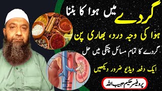 Treatment for all Kidney Problems l kidney pain l Gurdy Me Hawa Ki Waja Sy Dard Hona [upl. by Culosio36]