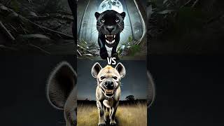 Black Jaguar VS Albino Animals Gorilla Lion Python [upl. by Gratia871]