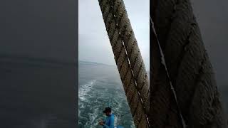 Pesca pescaperu pescatumbes fishing sigueme viralvideo viralshort [upl. by Akiemahs961]