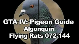 GTA IV Pigeon Guide  Algonquin [upl. by Nahpets85]