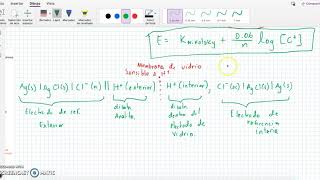 Potenciometría ISE 3 [upl. by Mayes554]