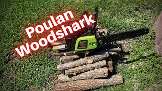 Poulan Chainsaw 14 inch Woodshark [upl. by Mario]