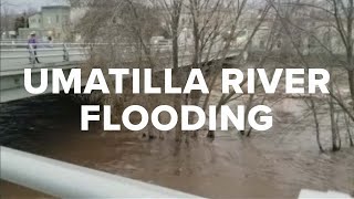 Umatilla River flooding in Pendleton Oregon [upl. by Mccomb]