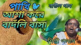 পাখি আশা করে বাদলি বাসা  শিল্পী পলাসPakhi Aasa Kare Badli BashaSinger Palash Baul song [upl. by Yenitsed]