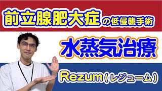 【必見】前立腺肥大症の低侵襲手術 Rezum（レジューム） [upl. by Lorita65]