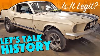 MYSTERY SHELBY Mustang  Too Good to be True [upl. by Lorolla]