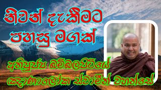 නිවන් දැකීමට පහසු මගක්VenBambalapitiye Gnanaloka Thero weheragala [upl. by Jaffe559]