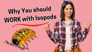 Isopods Why Should You Keep Them [upl. by Siahc981]