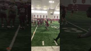 Transfer LB Cam Riley has hit the ground running in his first FSU practices fsu fsufootball [upl. by Antonietta500]