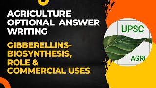 Gibberellins Biosynthesis Role amp Commercial Uses  Agriculture Optional Answer Writing  UPSC [upl. by Nerret]