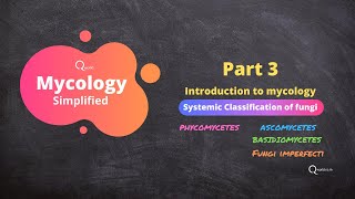 Mycology fungi tutorials Part 3 Introduction to mycology Systemic classification of fungi [upl. by Minda]