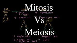 Mitosis and Meiosis  similarities and differences [upl. by Simmons122]