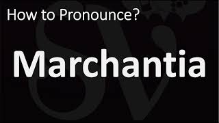 How to Pronounce Marchantia CORRECTLY [upl. by Silecara]