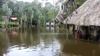 By boat from Moin to Tortuguero Costa Rica [upl. by Ecnarretal]