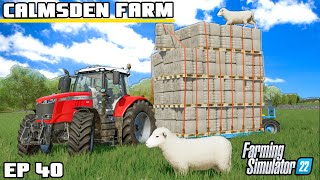 THIS WOOL TOWER HAS CHANGED THE FARM  Calmsden Farm  Farming Simulator 22  Episode 40 [upl. by Nnaid]