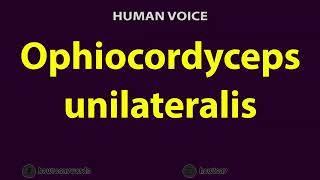 How to Pronounce Ophiocordyceps unilateralis [upl. by Christye]