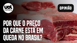 Filémignon e mais por que o preço da carne está em queda no Brasil [upl. by Llenrev]