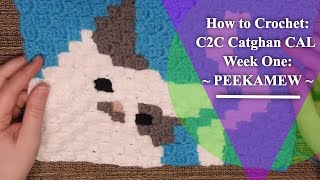 How to Crochet CATGHAN C2C CAL 2019 WEEK 1 PeekAMew [upl. by Ynavoj]