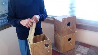 Nest Box Installation for Bourke Parakeets Works for Others Too [upl. by Nyret]